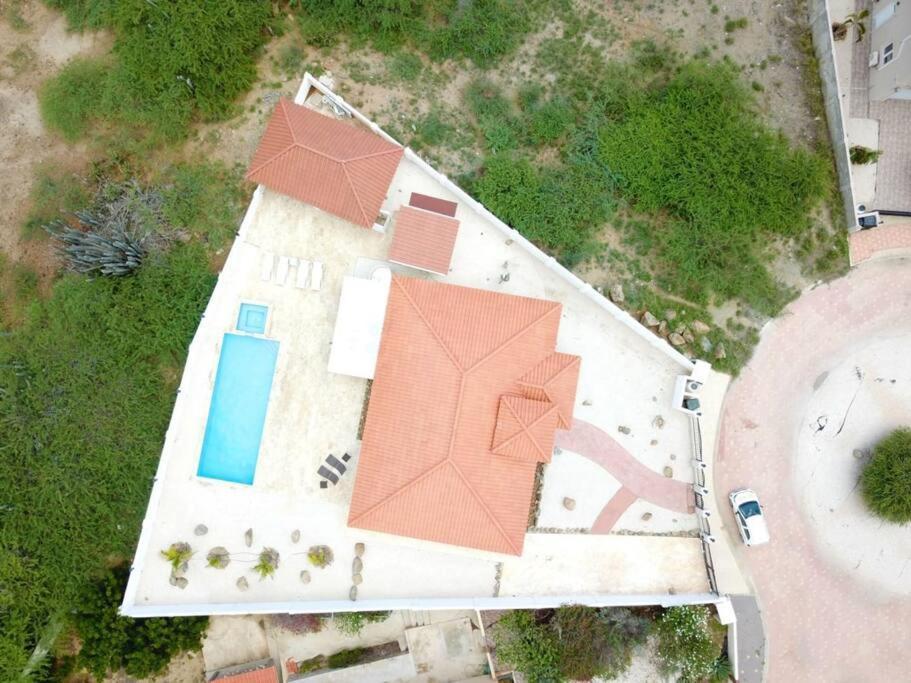 Jolie Villa Entire Villa In Noord, Aruba Palm Beach Zewnętrze zdjęcie